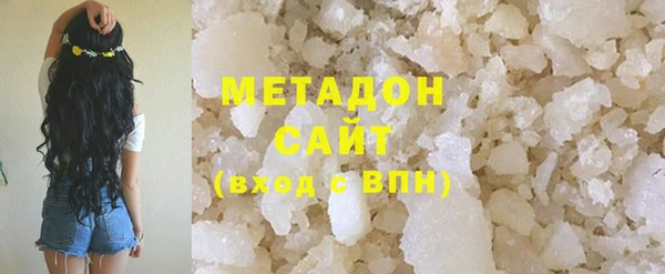 прущие грибы Дмитриев