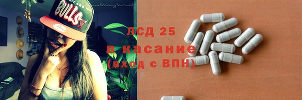 прущие грибы Дмитриев