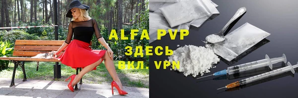 прущие грибы Дмитриев