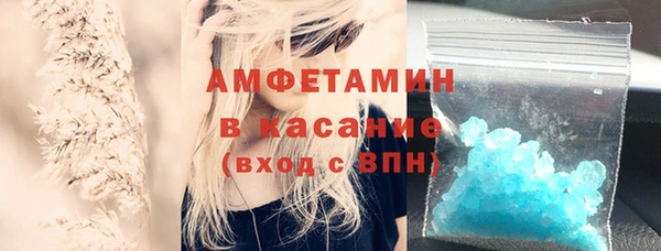 прущие грибы Дмитриев