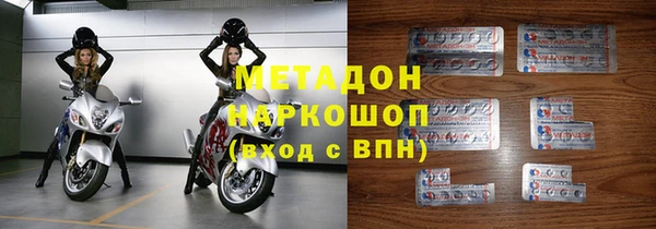 прущие грибы Дмитриев