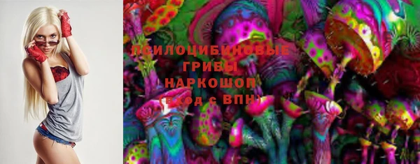 прущие грибы Дмитриев