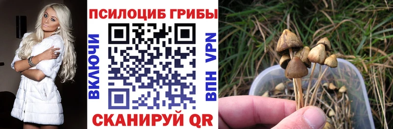 Купить где  Нижний Ломов  Галлюциногенные грибы GOLDEN TEACHER 